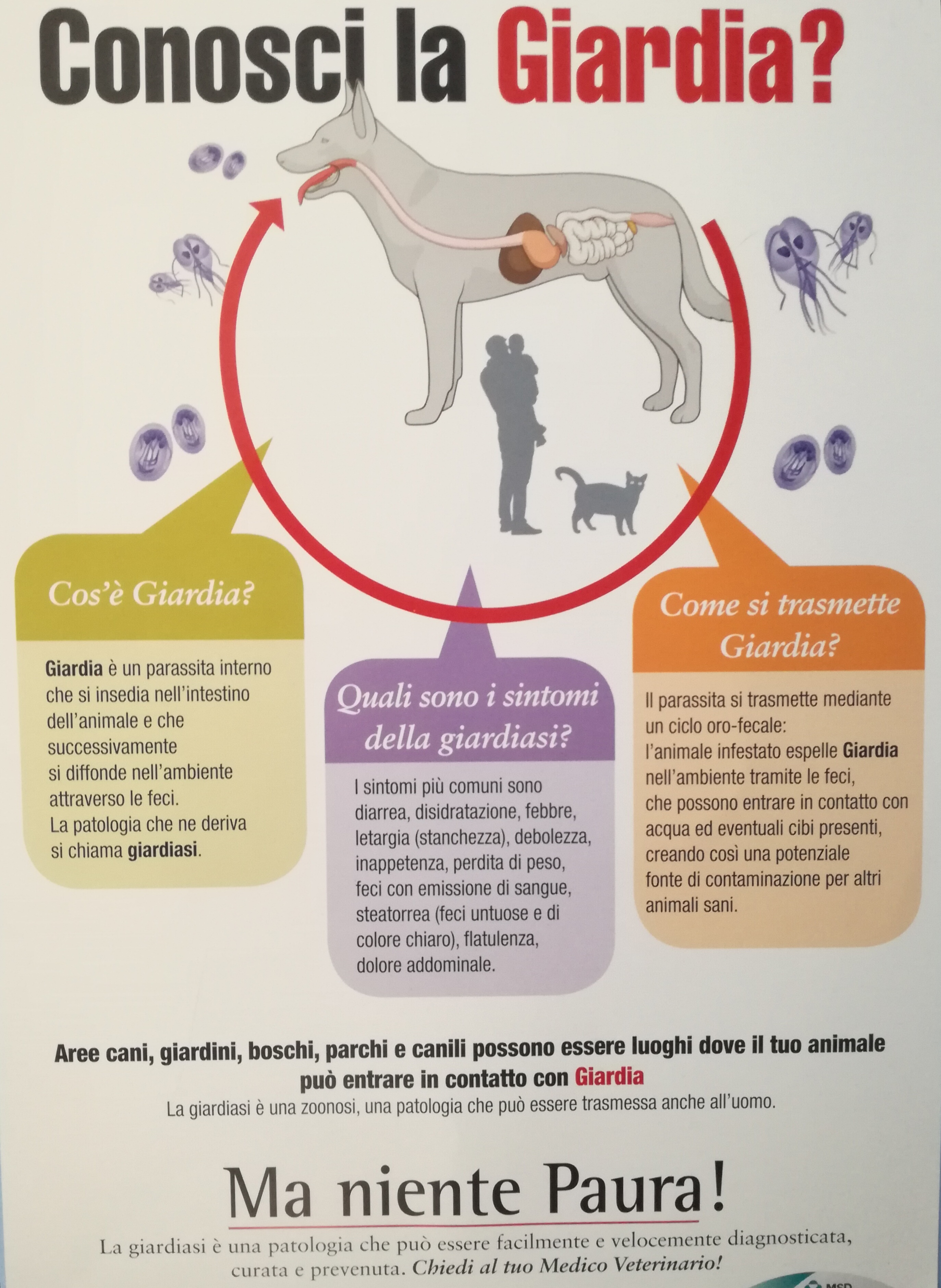 giardia cane feci