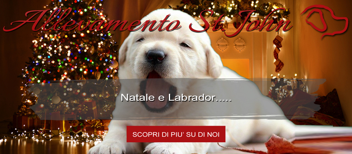 Natale è Labradr