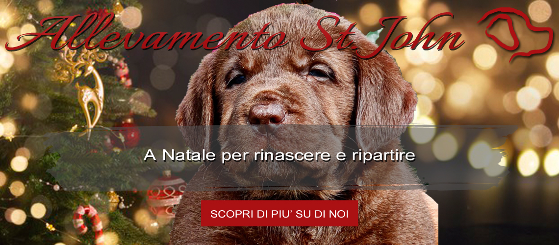 A Natale per rinascere e ripartire