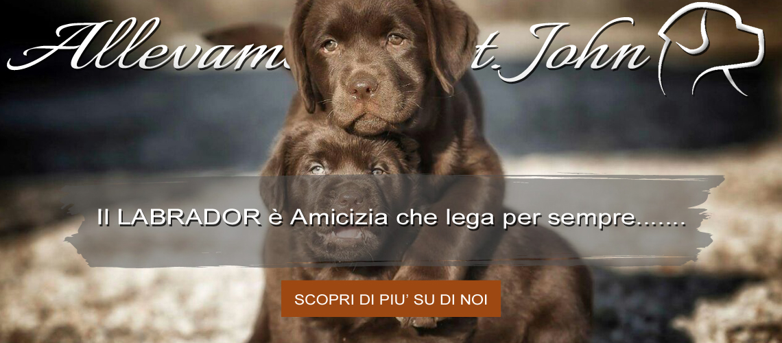 il_labrador_è_amico_per_sempre